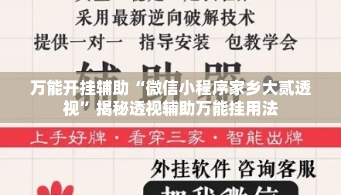 万能开挂辅助“微信小程序家乡大贰透视”揭秘透视辅助万能挂用法