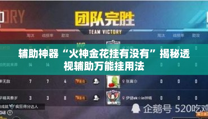 辅助神器“火神金花挂有没有”揭秘透视辅助万能挂用法