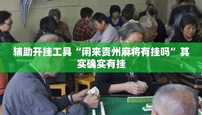 辅助开挂工具“闲来贵州麻将有挂吗	”其实确实有挂