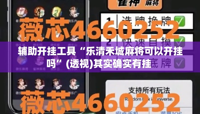 辅助开挂工具“乐清禾城麻将可以开挂吗”(透视)其实确实有挂 