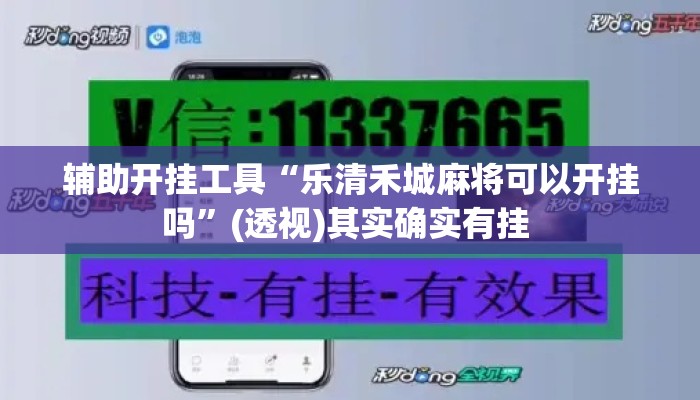 辅助开挂工具“乐清禾城麻将可以开挂吗”(透视)其实确实有挂 