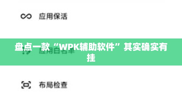 盘点一款“WPK辅助软件”其实确实有挂