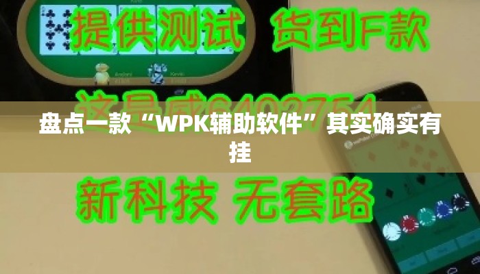 盘点一款“WPK辅助软件”其实确实有挂