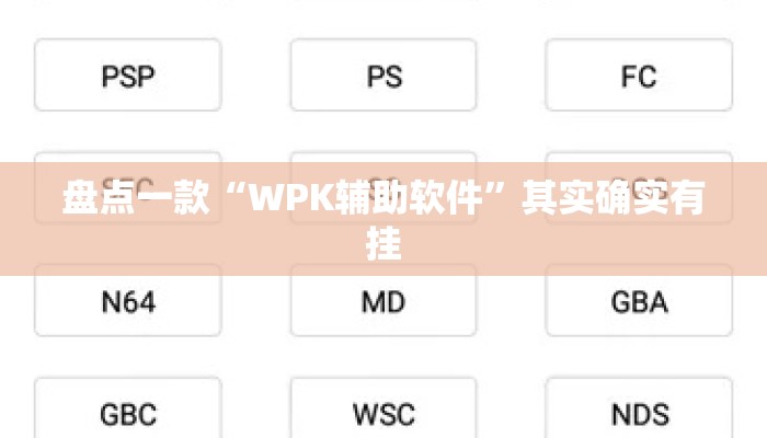 盘点一款“WPK辅助软件	”其实确实有挂