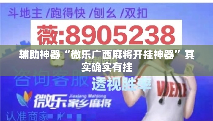 辅助神器“微乐广西麻将开挂神器	”其实确实有挂