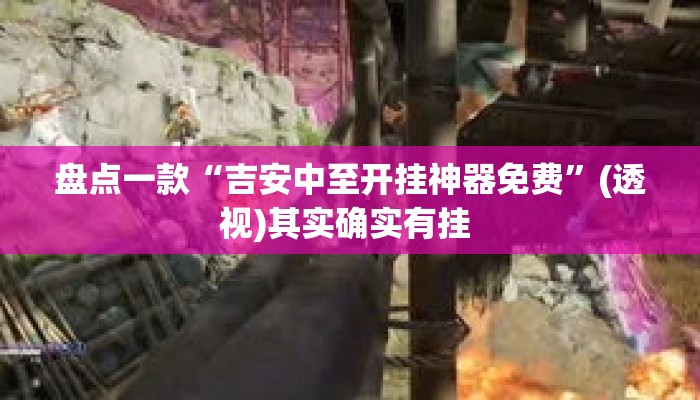 盘点一款“吉安中至开挂神器免费	”(透视)其实确实有挂 