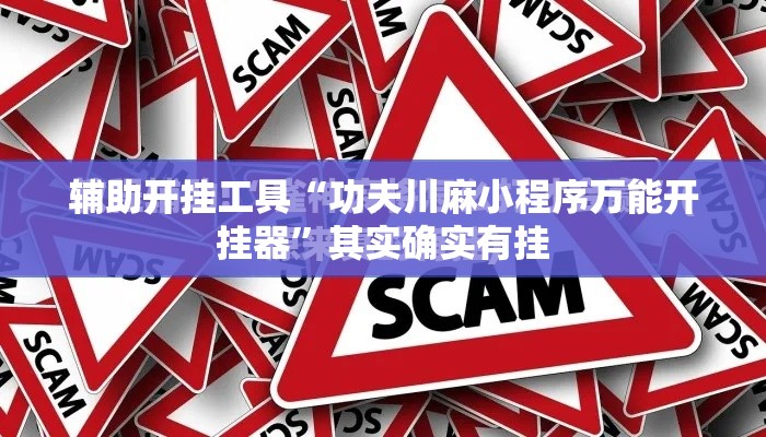 辅助开挂工具“功夫川麻小程序万能开挂器”其实确实有挂