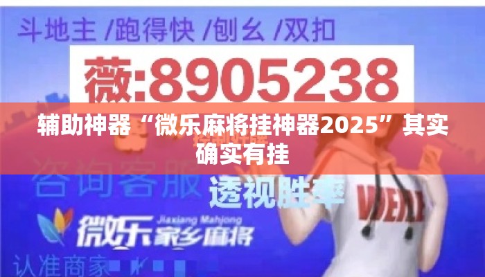 辅助神器“微乐麻将挂神器2025”其实确实有挂