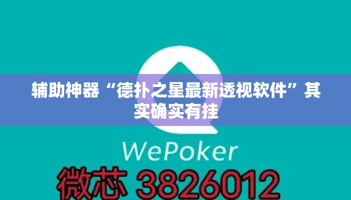 辅助神器“德扑之星最新透视软件	”其实确实有挂