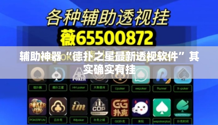 辅助神器“德扑之星最新透视软件”其实确实有挂