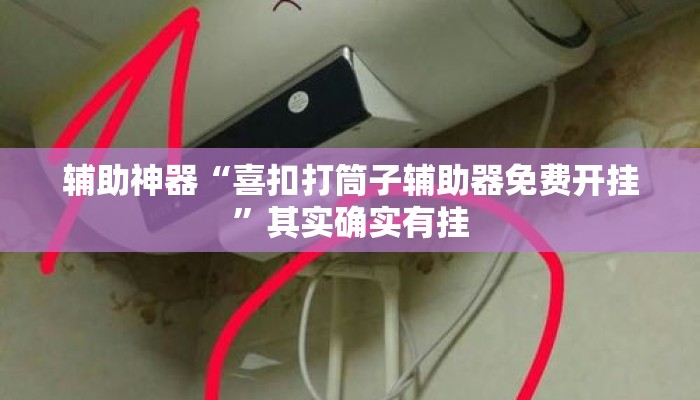 辅助神器“喜扣打筒子辅助器免费开挂	”其实确实有挂