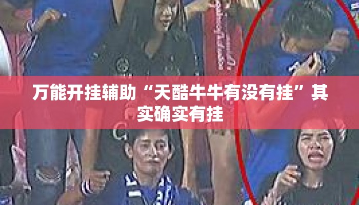 万能开挂辅助“天酷牛牛有没有挂”其实确实有挂