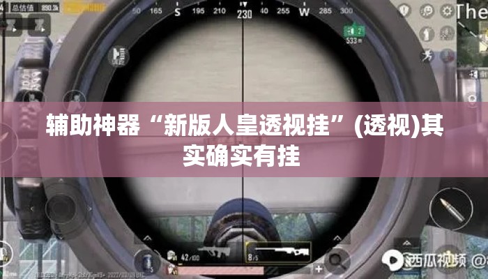 辅助神器“新版人皇透视挂	”(透视)其实确实有挂 
