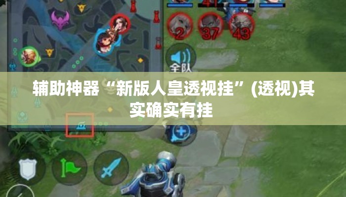 辅助神器“新版人皇透视挂”(透视)其实确实有挂 