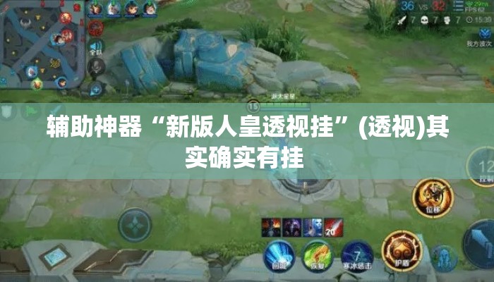 辅助神器“新版人皇透视挂”(透视)其实确实有挂 