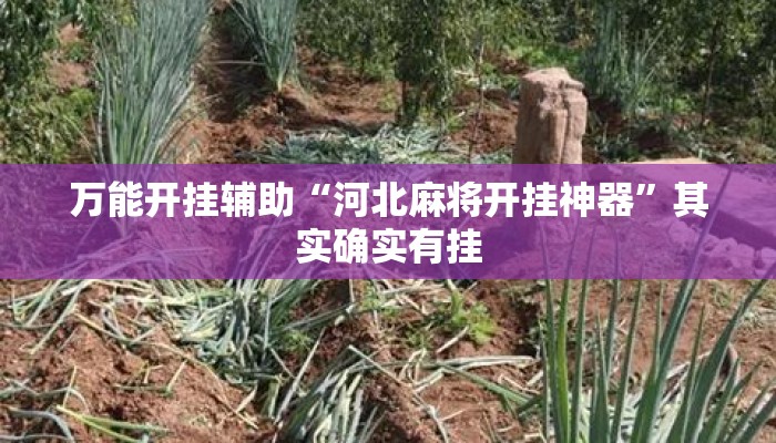 万能开挂辅助“河北麻将开挂神器	”其实确实有挂