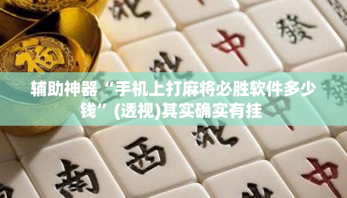 辅助神器“手机上打麻将必胜软件多少钱”(透视)其实确实有挂 