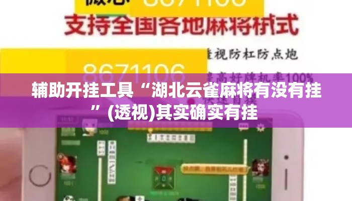 辅助开挂工具“湖北云雀麻将有没有挂”(透视)其实确实有挂 