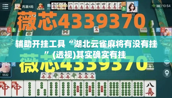 辅助开挂工具“湖北云雀麻将有没有挂”(透视)其实确实有挂 