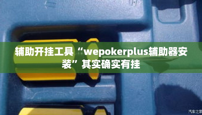 辅助开挂工具“wepokerplus辅助器安装”其实确实有挂
