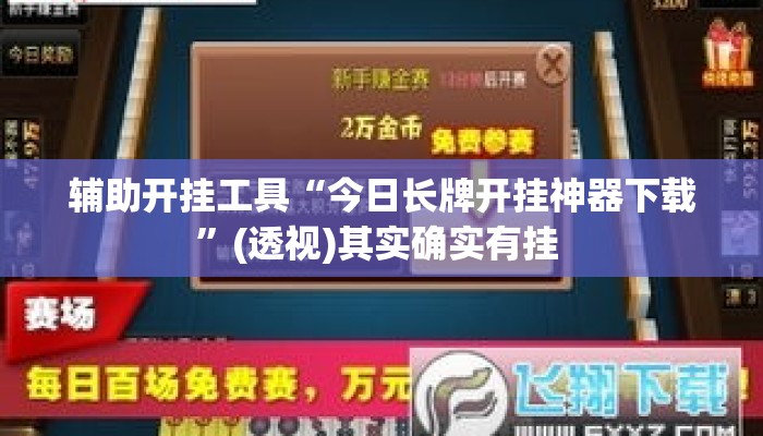 辅助开挂工具“今日长牌开挂神器下载”(透视)其实确实有挂 