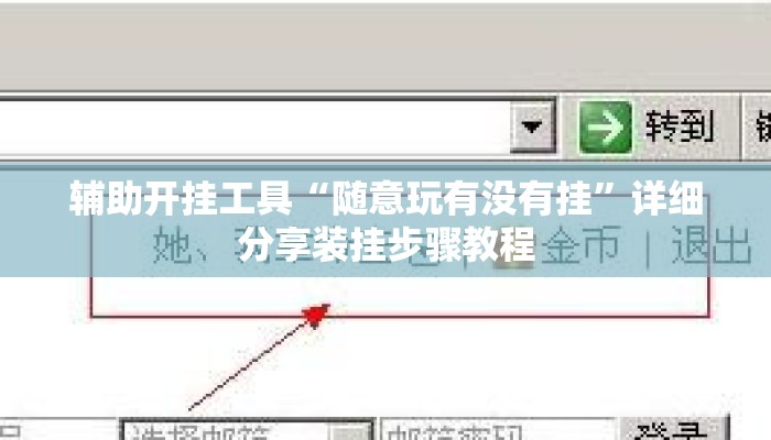 辅助开挂工具“随意玩有没有挂”详细分享装挂步骤教程