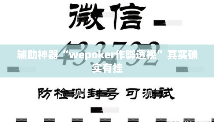 辅助神器“wepoker作弊透视”其实确实有挂