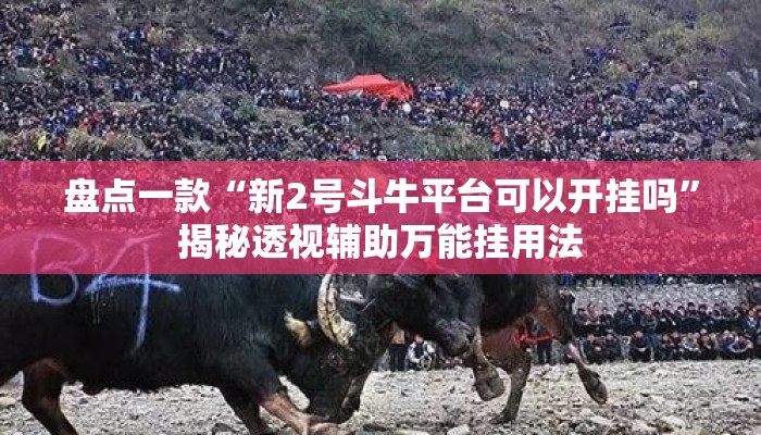 盘点一款“新2号斗牛平台可以开挂吗”揭秘透视辅助万能挂用法