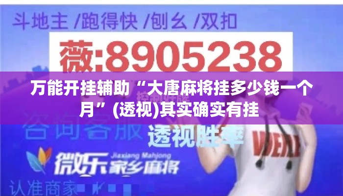万能开挂辅助“大唐麻将挂多少钱一个月”(透视)其实确实有挂 