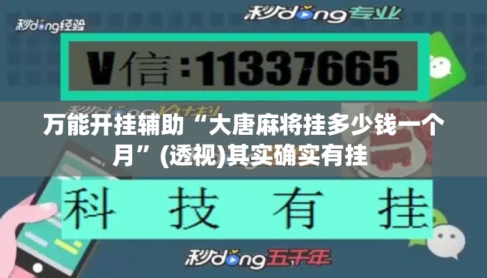 万能开挂辅助“大唐麻将挂多少钱一个月”(透视)其实确实有挂 