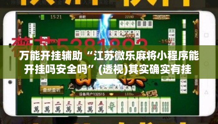 万能开挂辅助“江苏微乐麻将小程序能开挂吗安全吗”(透视)其实确实有挂 