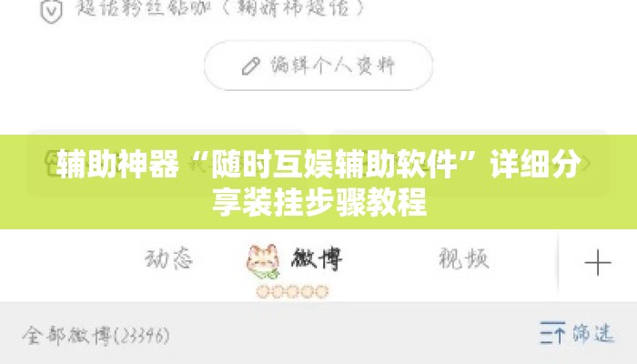 辅助神器“随时互娱辅助软件	”详细分享装挂步骤教程
