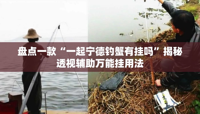 盘点一款“一起宁德钓蟹有挂吗”揭秘透视辅助万能挂用法