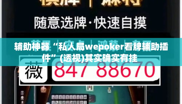 辅助神器“私人局wepoker看牌辅助插件”(透视)其实确实有挂 