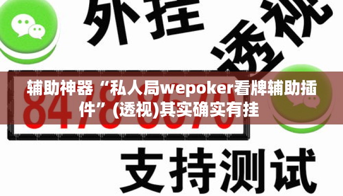 辅助神器“私人局wepoker看牌辅助插件”(透视)其实确实有挂 