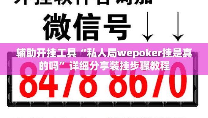 辅助开挂工具“私人局wepoker挂是真的吗”详细分享装挂步骤教程