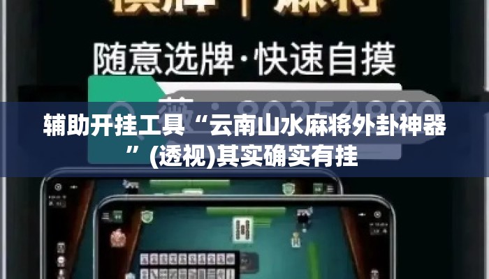 辅助开挂工具“云南山水麻将外卦神器”(透视)其实确实有挂 