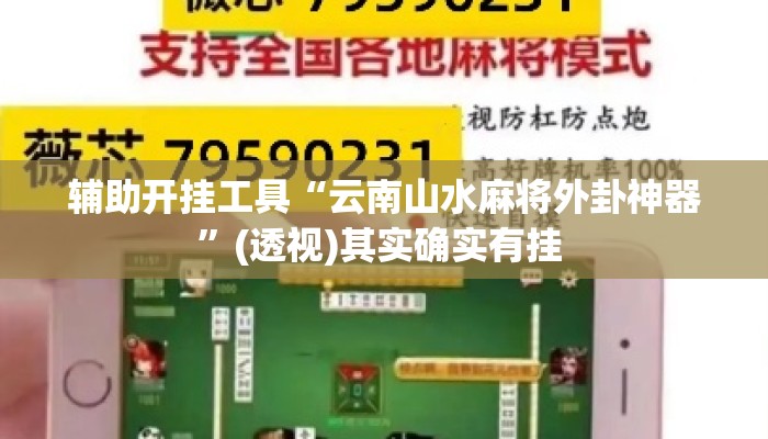 辅助开挂工具“云南山水麻将外卦神器	”(透视)其实确实有挂 