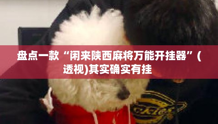 盘点一款“闲来陕西麻将万能开挂器	”(透视)其实确实有挂 