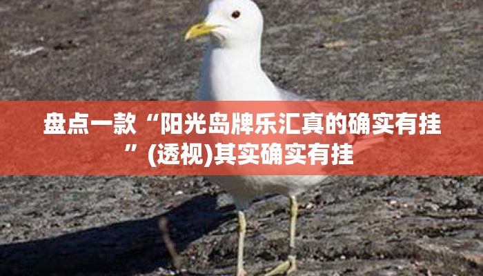 盘点一款“阳光岛牌乐汇真的确实有挂”(透视)其实确实有挂 