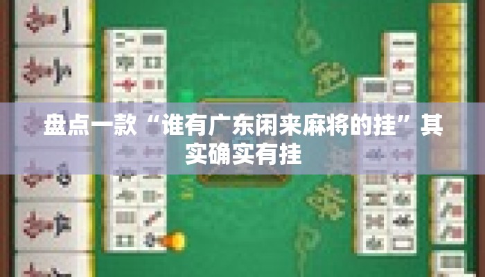 盘点一款“谁有广东闲来麻将的挂”其实确实有挂