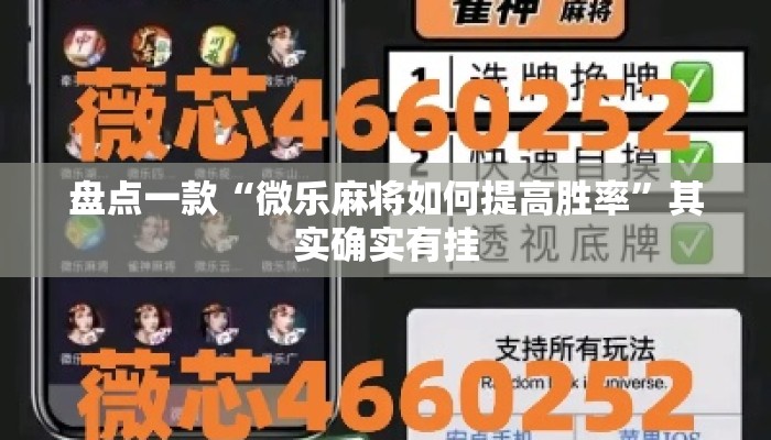 盘点一款“微乐麻将如何提高胜率”其实确实有挂