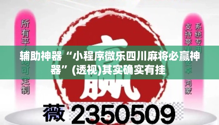 辅助神器“小程序微乐四川麻将必赢神器”(透视)其实确实有挂 