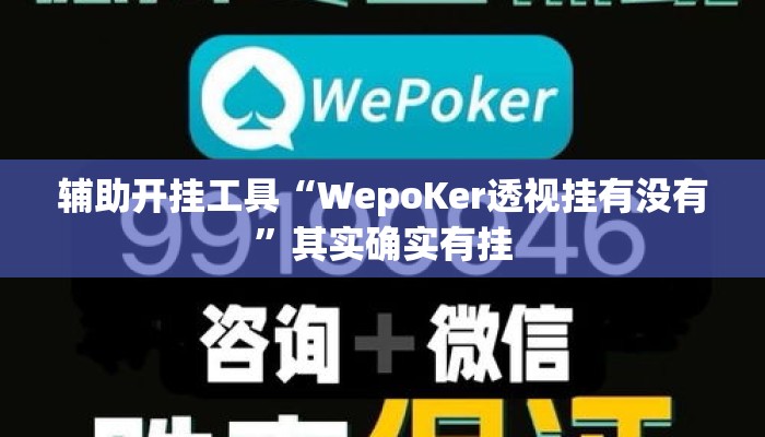 辅助开挂工具“WepoKer透视挂有没有	”其实确实有挂