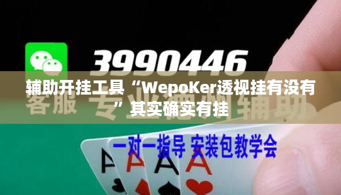 辅助开挂工具“WepoKer透视挂有没有”其实确实有挂