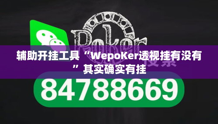 辅助开挂工具“WepoKer透视挂有没有	”其实确实有挂