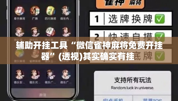 辅助开挂工具“微信雀神麻将免费开挂器”(透视)其实确实有挂 