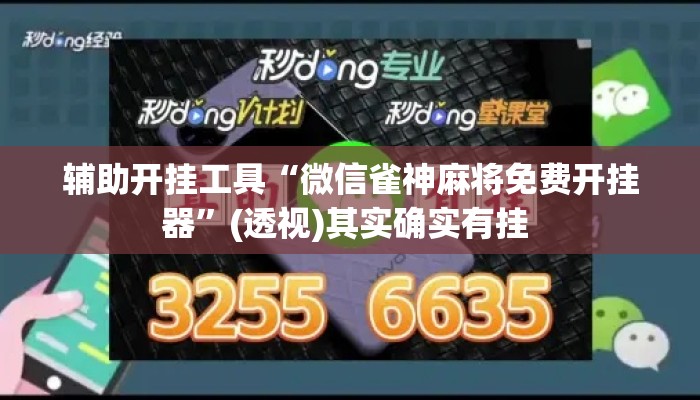 辅助开挂工具“微信雀神麻将免费开挂器”(透视)其实确实有挂 