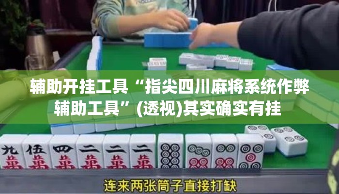 辅助开挂工具“指尖四川麻将系统作弊辅助工具	”(透视)其实确实有挂 