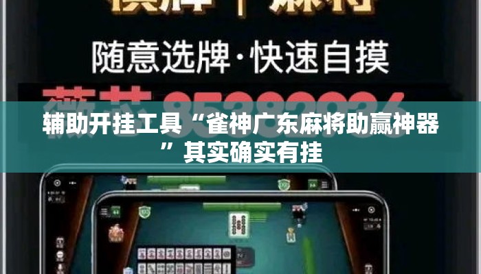 辅助开挂工具“雀神广东麻将助赢神器”其实确实有挂